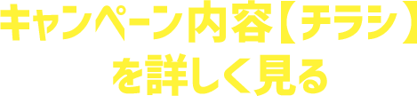 チラシを詳しく見る